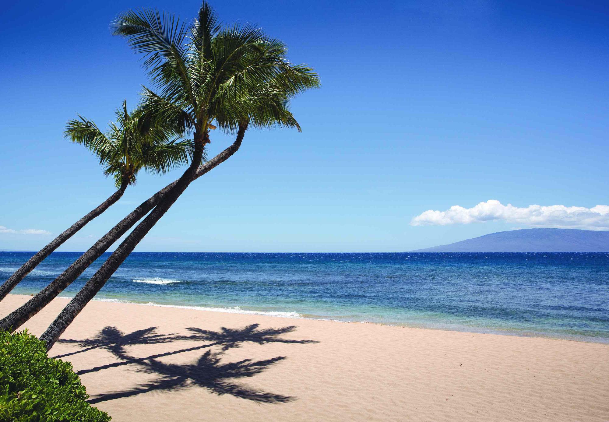 Marriott'S Maui Ocean Club - Molokai, Maui & Lanai Towers Hotel Lahaina Buitenkant foto