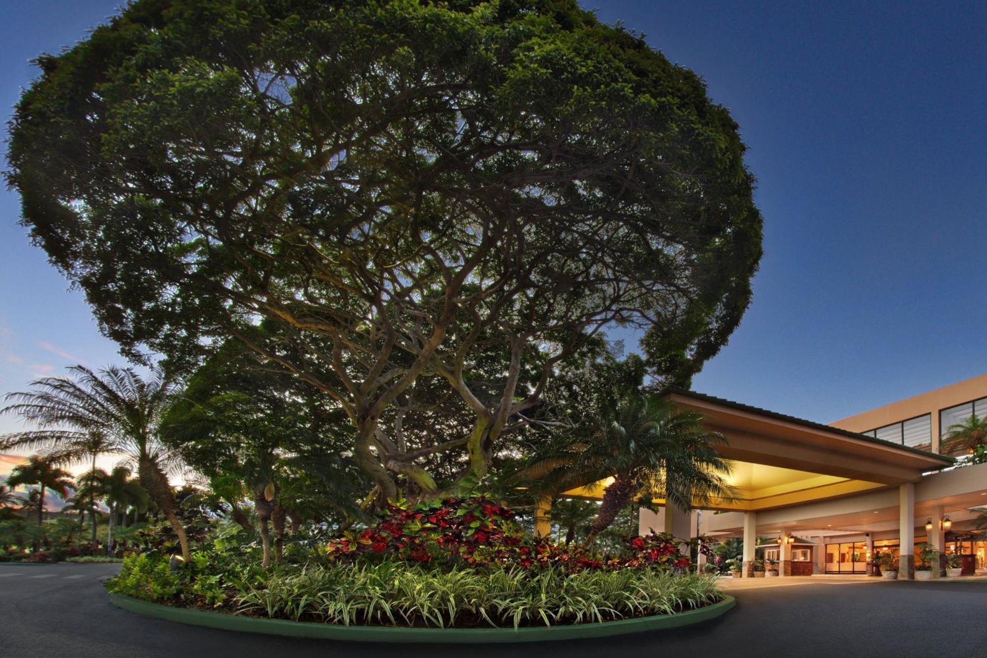 Marriott'S Maui Ocean Club - Molokai, Maui & Lanai Towers Hotel Lahaina Buitenkant foto